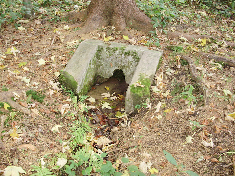 studánka bez jména (4135)