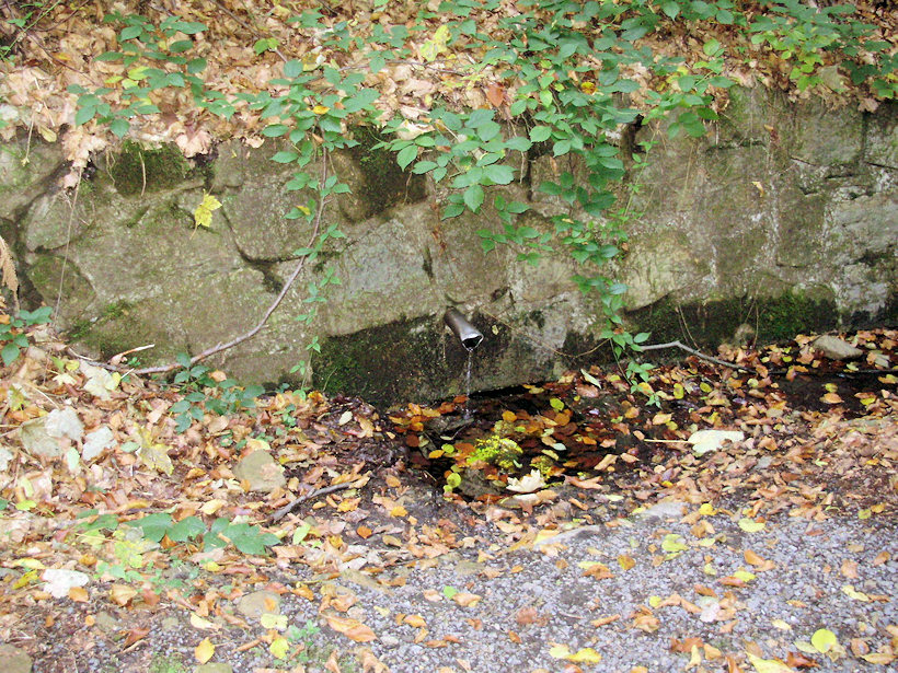 pramen Na Kozlůvkách (4136)
