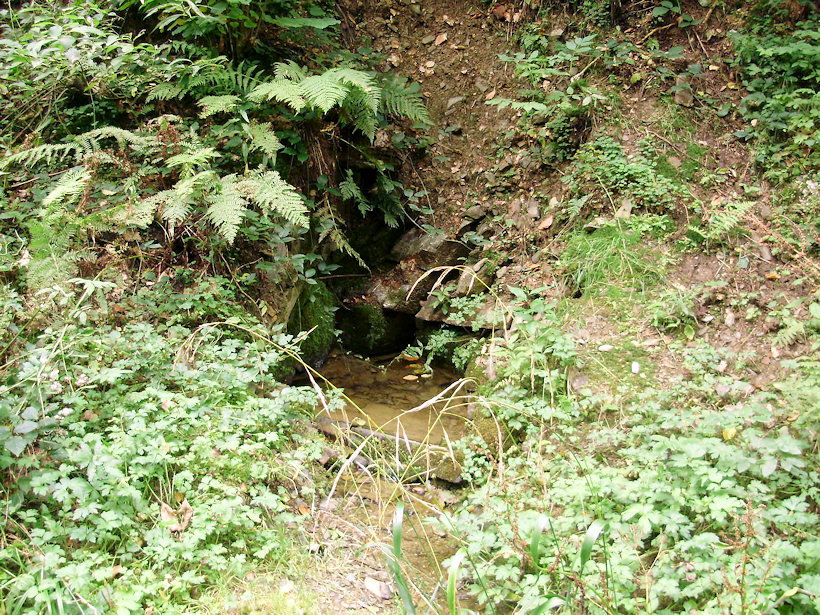 studánka V Koutech (4139)