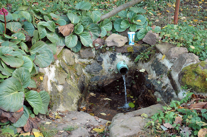 Karlova studánka (4141)