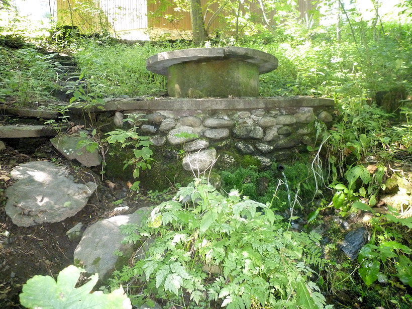 studánka Pod Panorámou (4144)