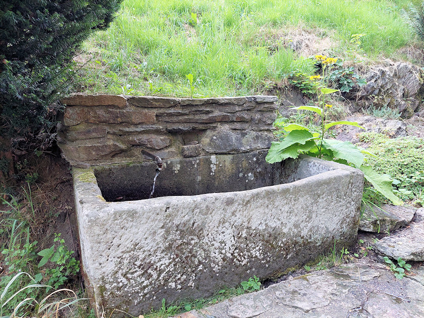 studánka Jelenka (4149)