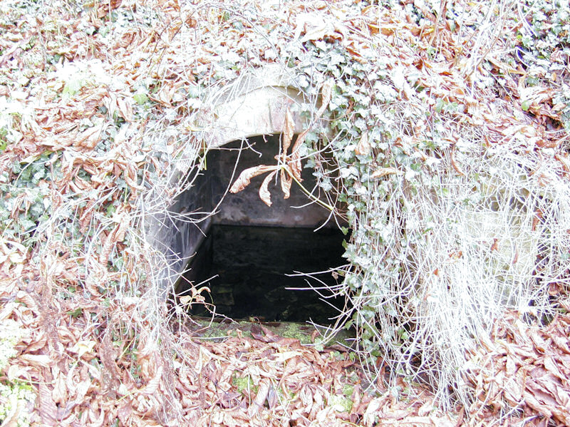 studánka bez jména (4157)