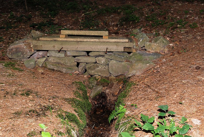 studánka V jezevčinách (4161)