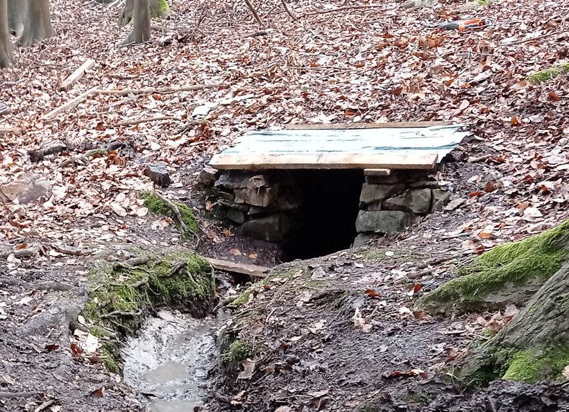 studánka Nad chatami (4162)