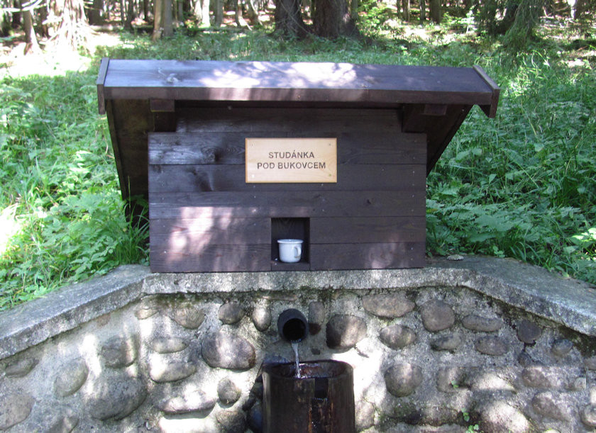 pramen Pod Bukovcem (4164)