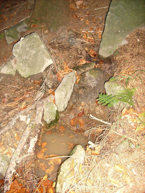 studánka Tůňka (4172)