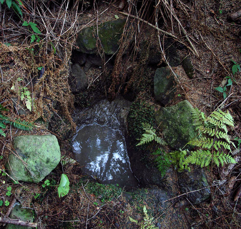 studánka Pod Hážovkami (4175)
