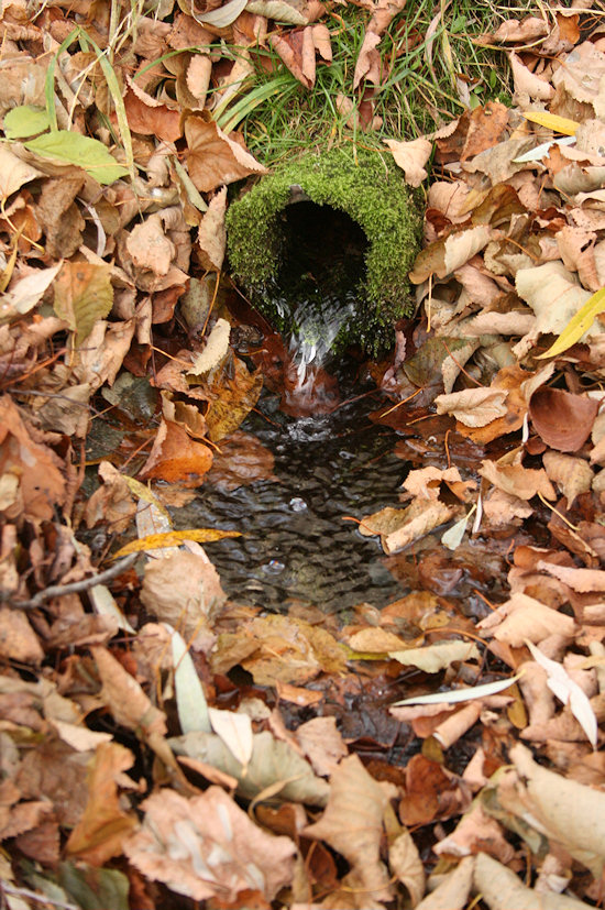 Studánka v Olšinkách (4186)