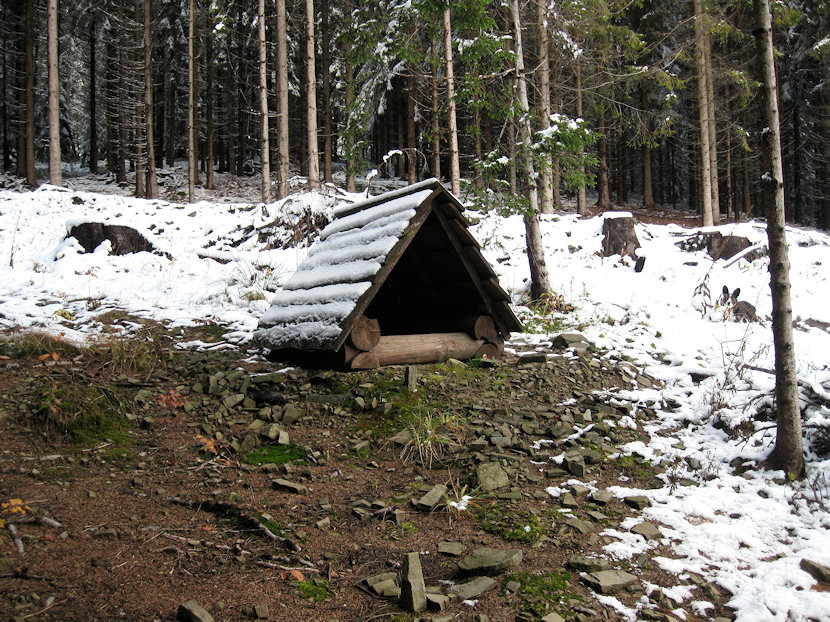 studánka Zadní Nytrová (4188)