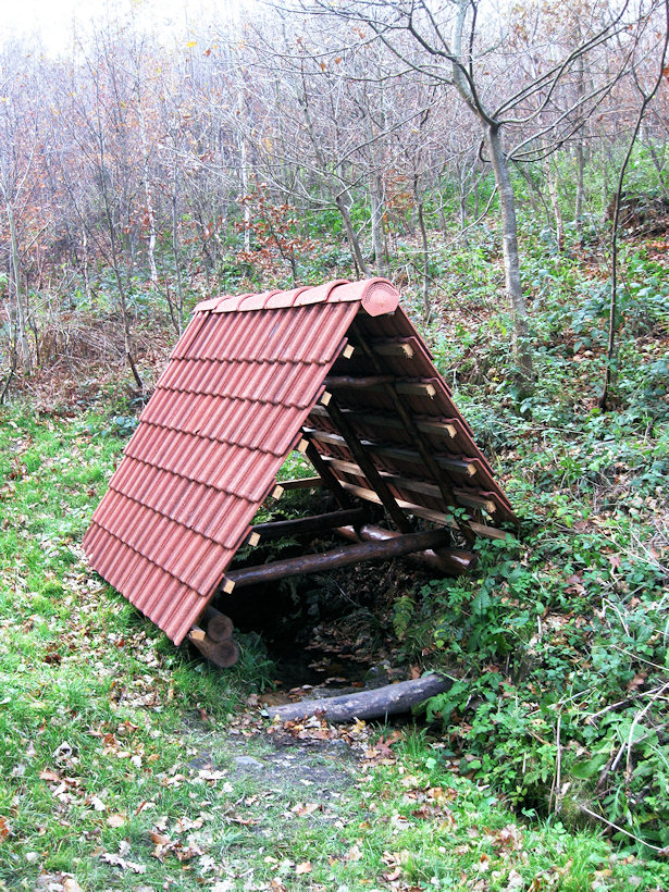 studánka Štandl (4189)