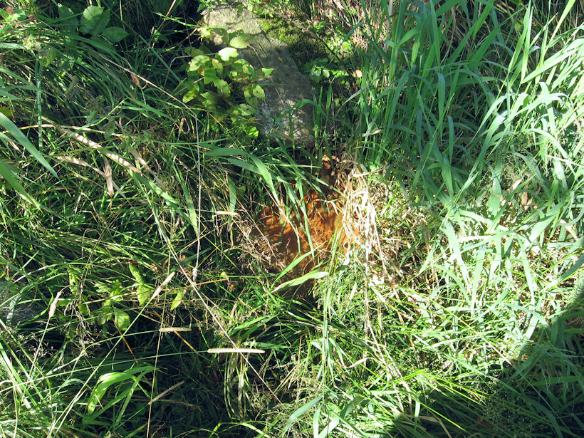 jiný vodní zdroj sv. Maří Magdaleny (4194)