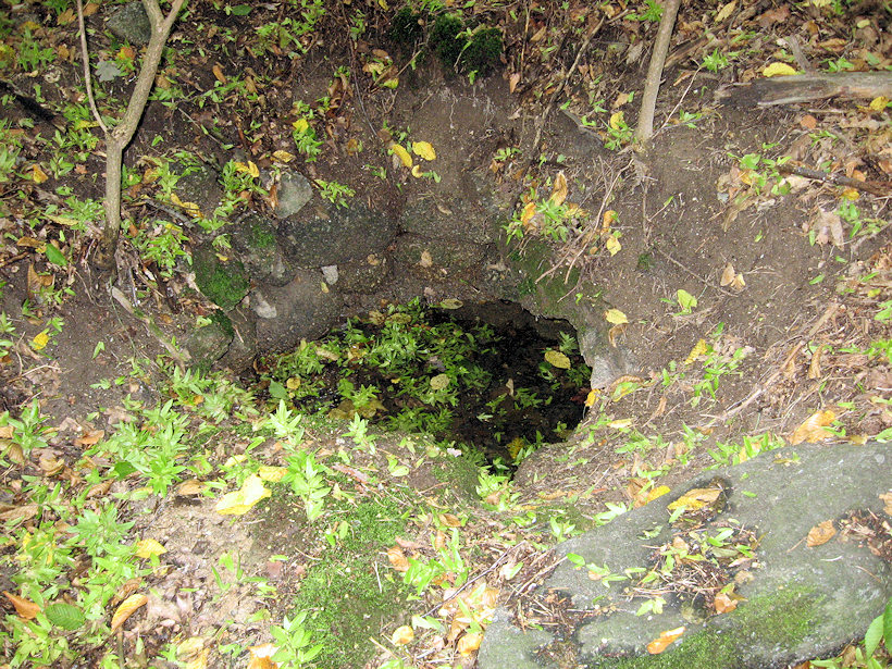 studánka Kněz u Hrazan (4204)