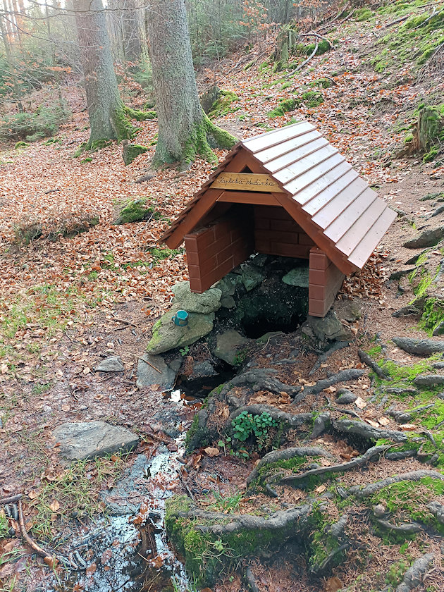 Kaplická studánka (4206)