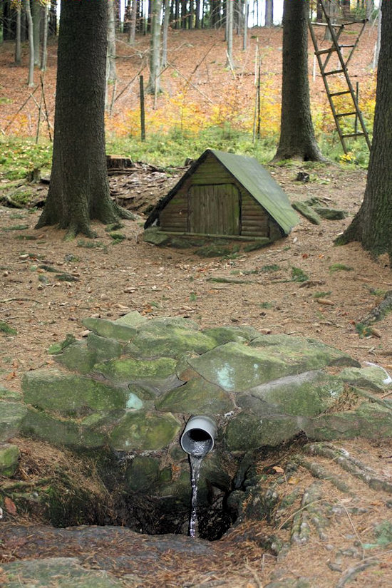studánka U Ivanin (4210)