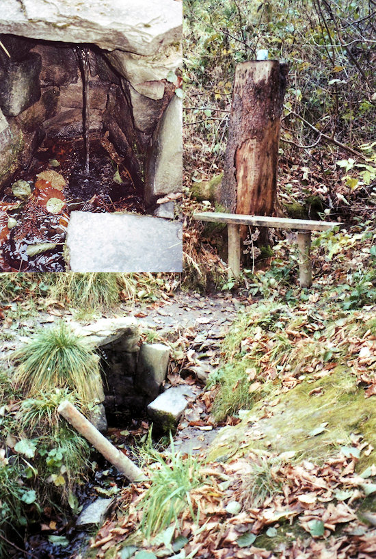 studánka V Napajedlách (4221)