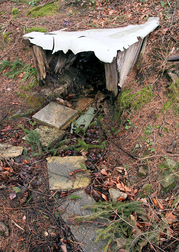 Chatařská studánka I (4228)