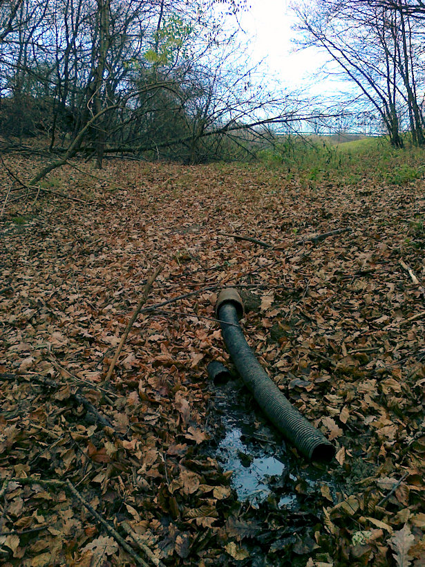 prameniště Pod Březovskou (4230)