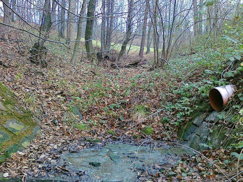 prameniště Chromkovo (4232)