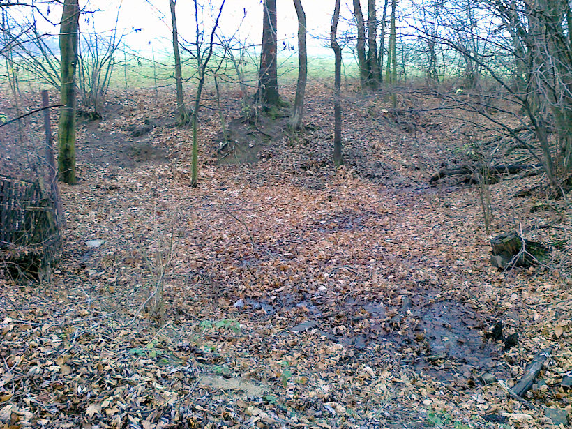 prameniště Kopaniny (4241)