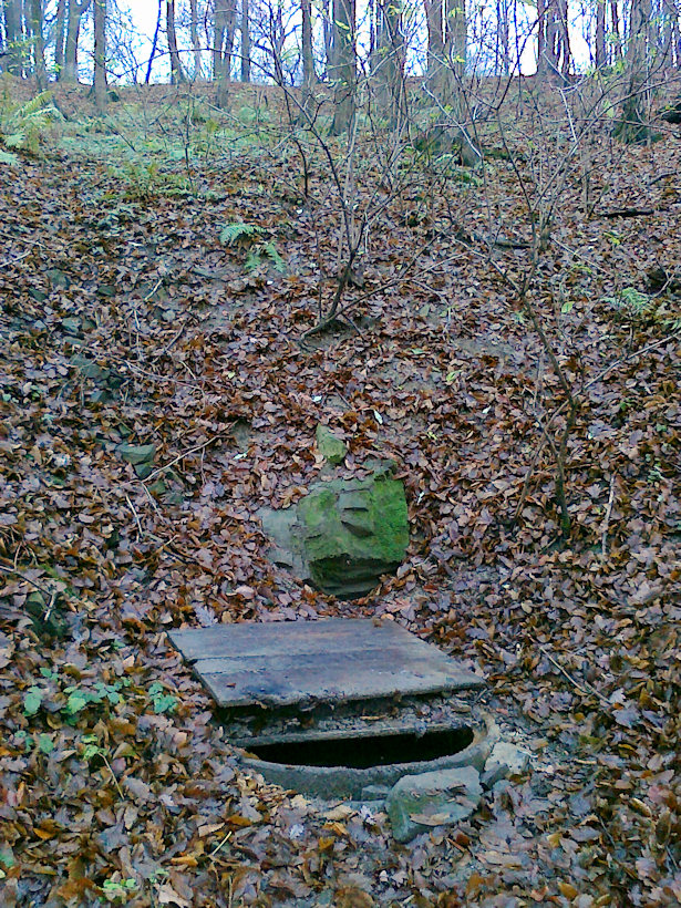 studánka Pomezí (4258)
