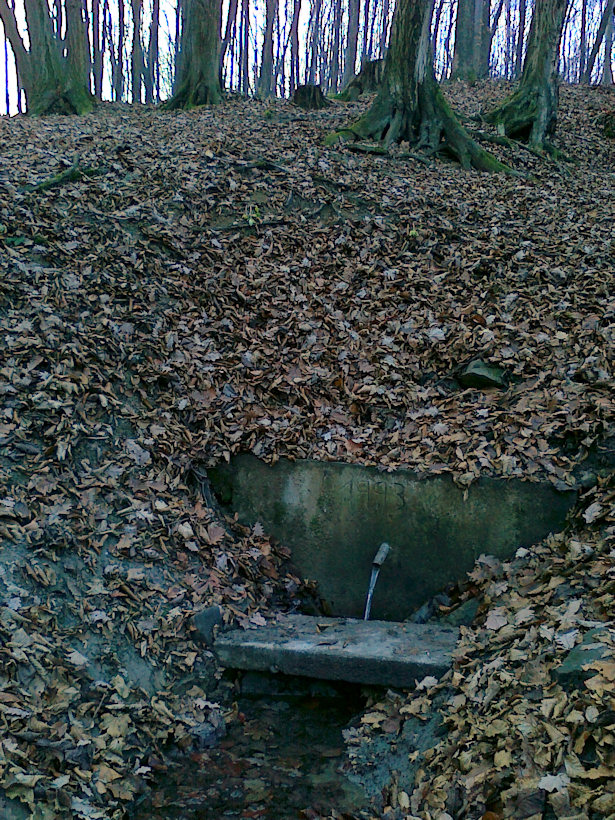 Jaroslavický pramen (4259)