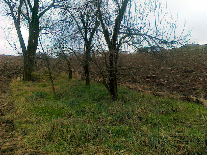 prameniště Zahumení (4260)