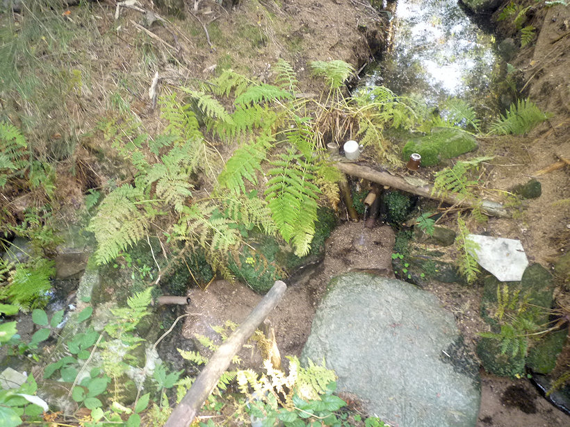 studánka U Valčenky (4265)