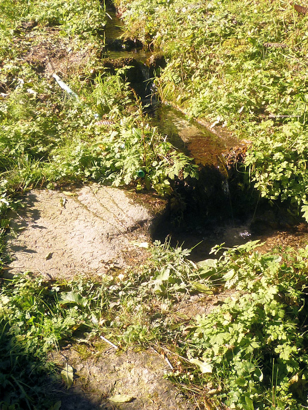 studánka Pod Plání (4266)