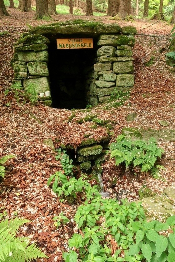 studánka Na Bušderflu (4267)