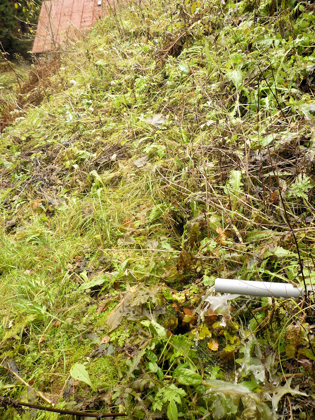 studánka U dvou panenek (4269)