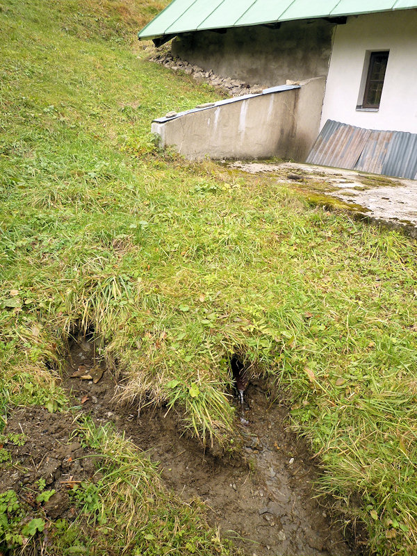 studánka Nad Huťským potokem (4270)