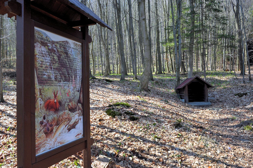 Studánka u Vetřkovského mostku (4271)
