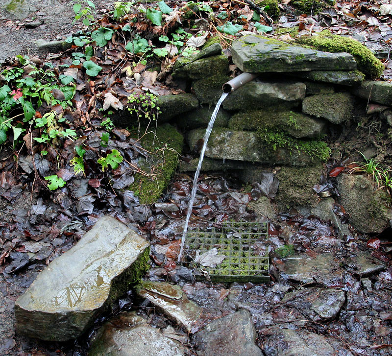studánka U Vesníku (4274)
