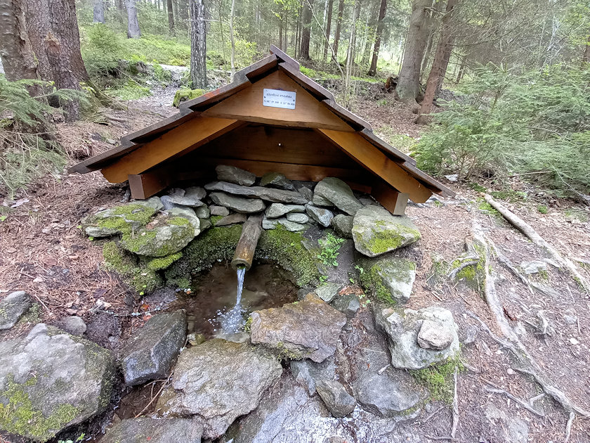 Kouzelná studánka (4276)