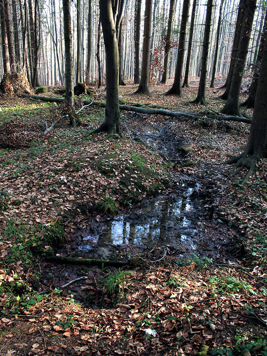 pramen Na Uhliskách (4277)