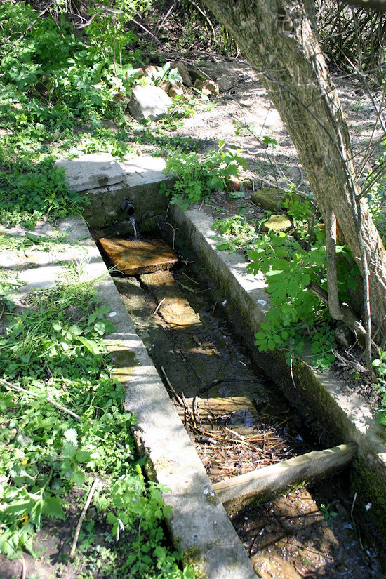 Studánka U Myslivny (4284)