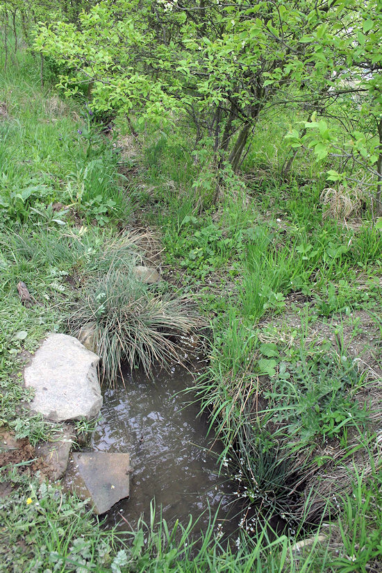 Studánka Vinohrady (4285)