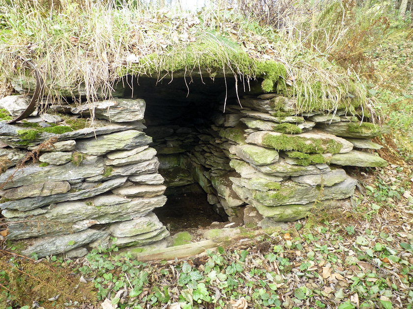 studánka Haltýř (4299)