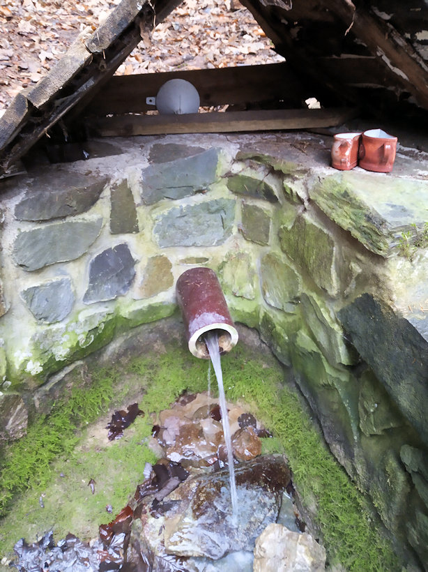 Studánka za Javoříčkem (4302)