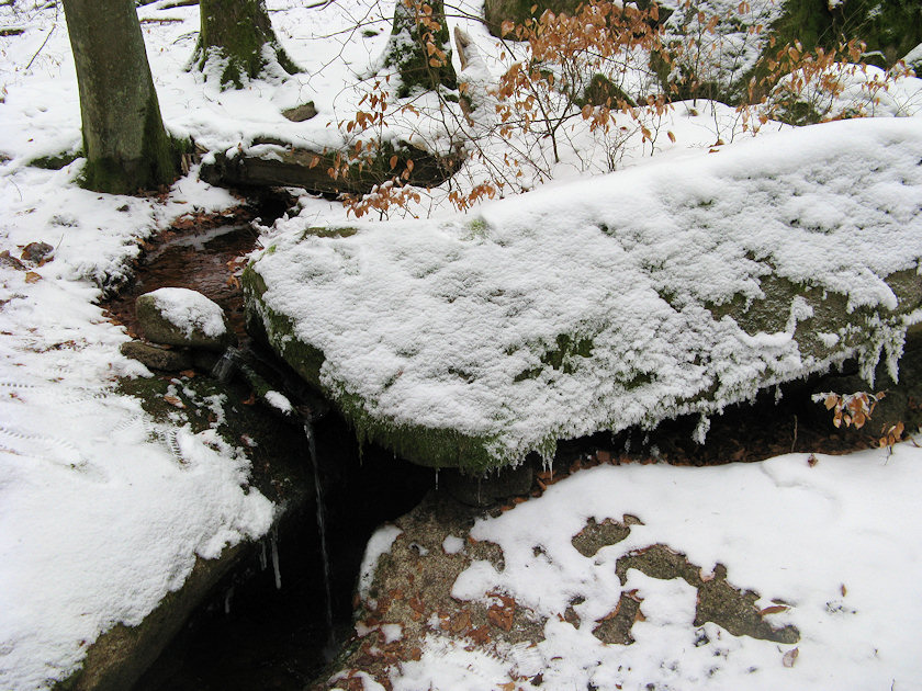 studánka Pod Bublavou skálou (4306)