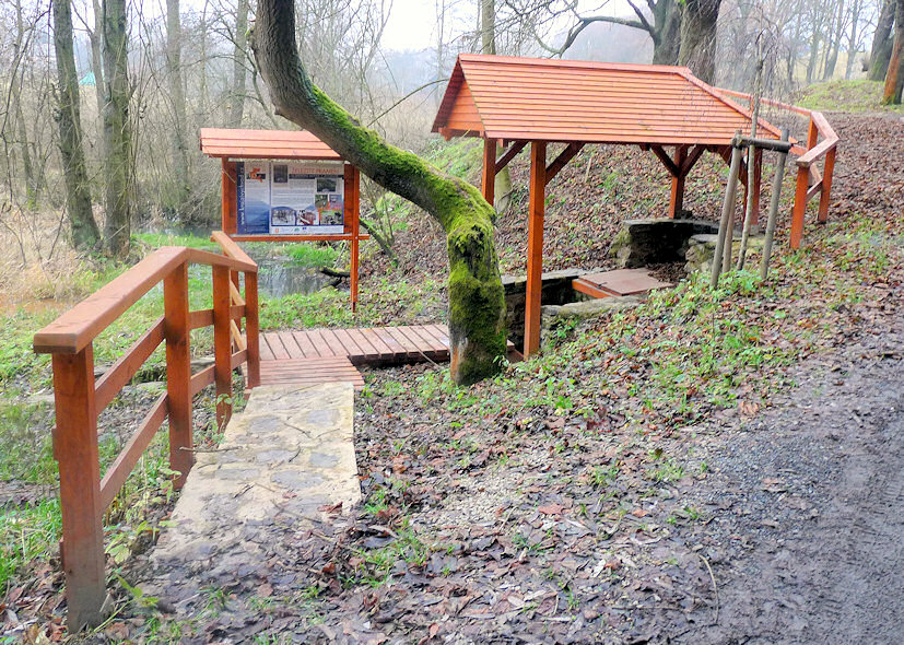 Železitý pramen (4308)