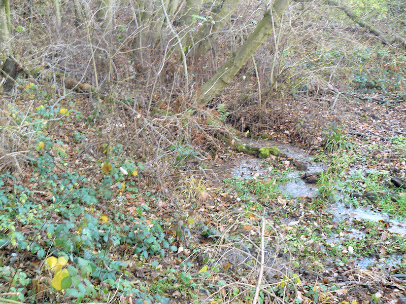 Kopřivová studánka (4309)