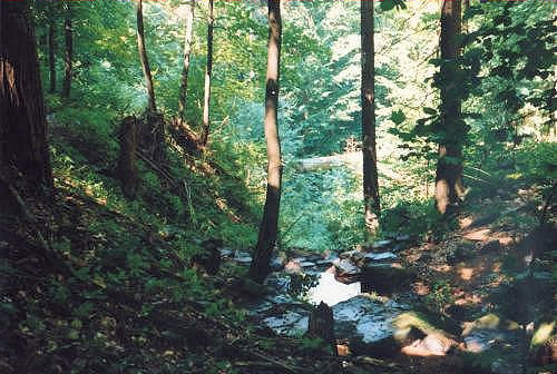 studánka bez jména (4310)