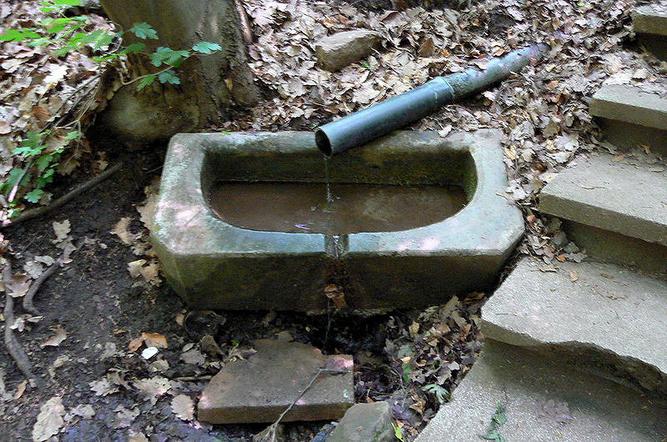 Studánka u Tří Křížů (4318)