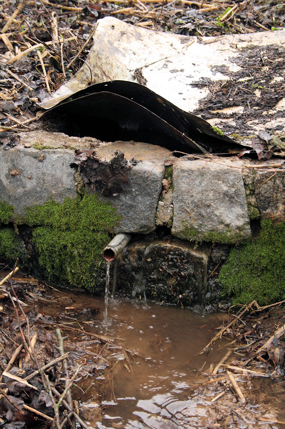 Vojtěchova studánka (4326)