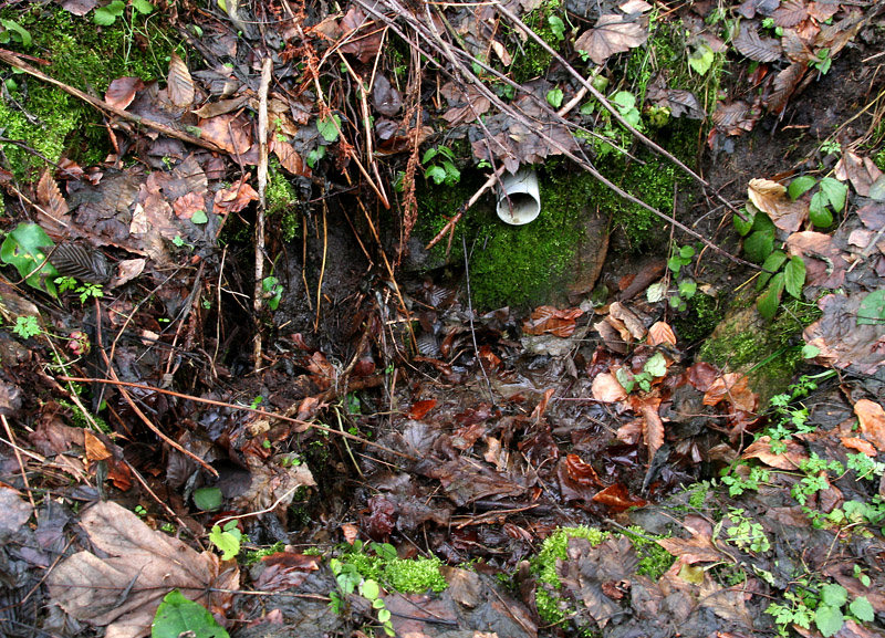 studánka U Vodojemu (4335)