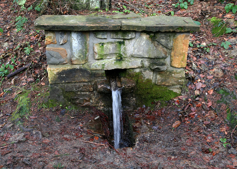 studánka Chladná voda (4339)