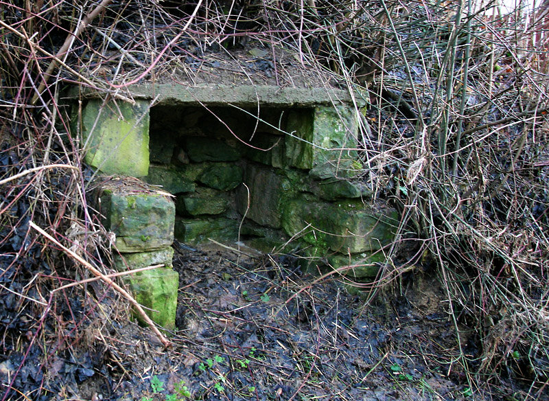 Sirná studánka (4341)