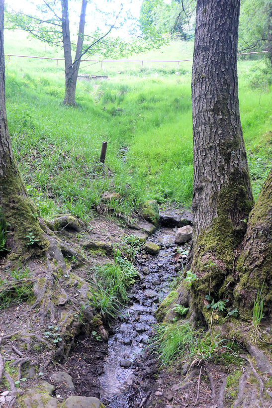 pramen U Kamenice (4342)